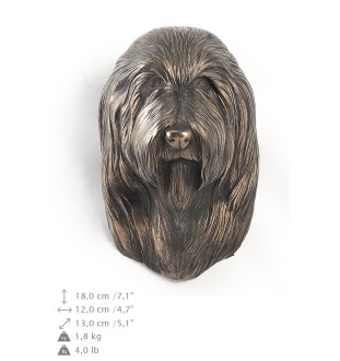 Bearded Collie głowa wisząca Art-Dog